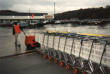 Pushing and pulling shopping carts in the Rain is no problem with the Cart Mule product line. 